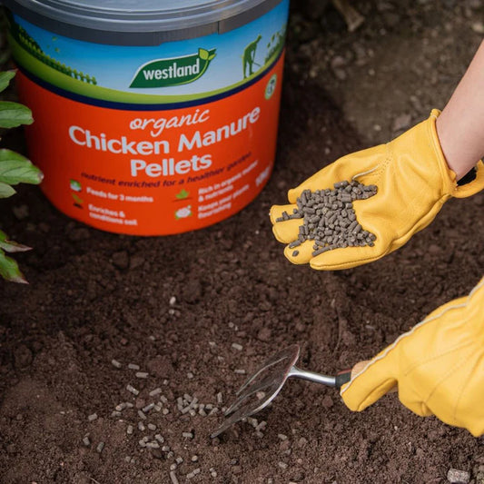 Westland Organic Chicken Manure Pellets