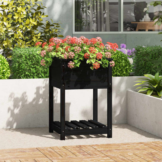 Planter with Shelf Black 54x54x81 cm Solid Wood Pine