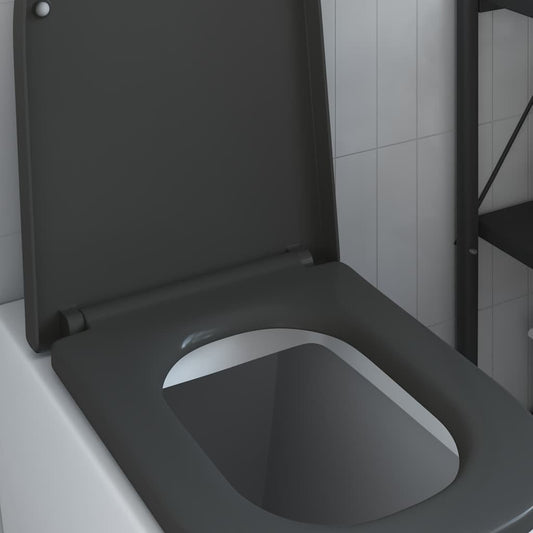 Quick Release Toilet Seat with Soft Close Duroplast Anthracite