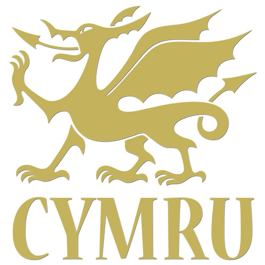 Cymru Dragon Iron On HTV Transfer-0